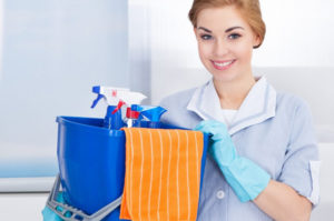 Fortnightly Cleaning